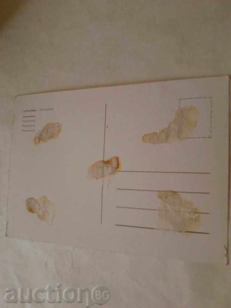 Carte poștală Pamporovo cu preț 0.45 BGN | € 0.23 Carte poștală Pamporovo cu preț 0.45 BGN | € 0.23