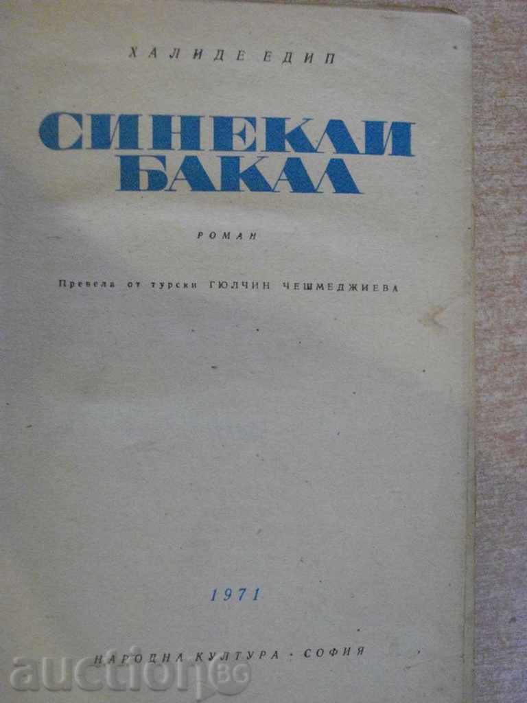 Book "Synek Bakal - Halide Edip" - 310 p.