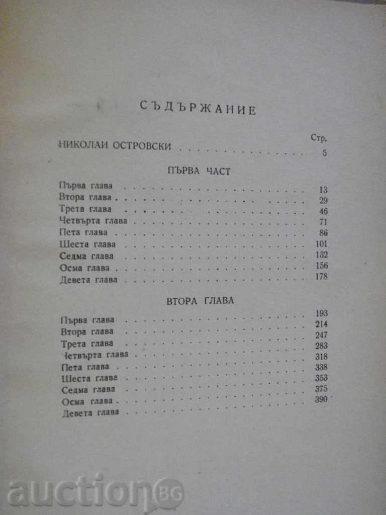 Book "How Steel Stealed - N. Ostrovski" - 396 pages - 5 Book "How Steel Stealed - N. Ostrovski" - 396 pages - 5