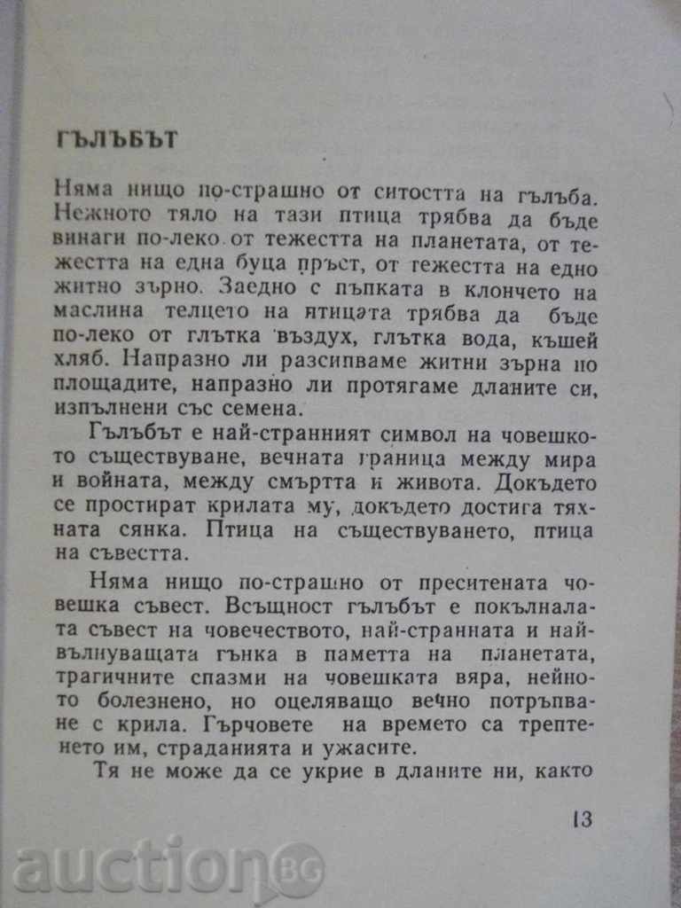 Auction The Book "The Younger of the Motherland" - 294 p. Auction The Book "The Younger of the Motherland" - 294 p.