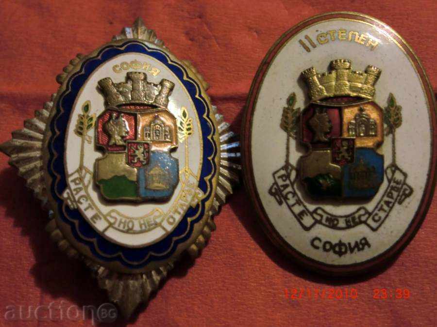 Auction SOFIA-GROW BUT DOES NOT WORK Auction SOFIA-GROW BUT DOES NOT WORK