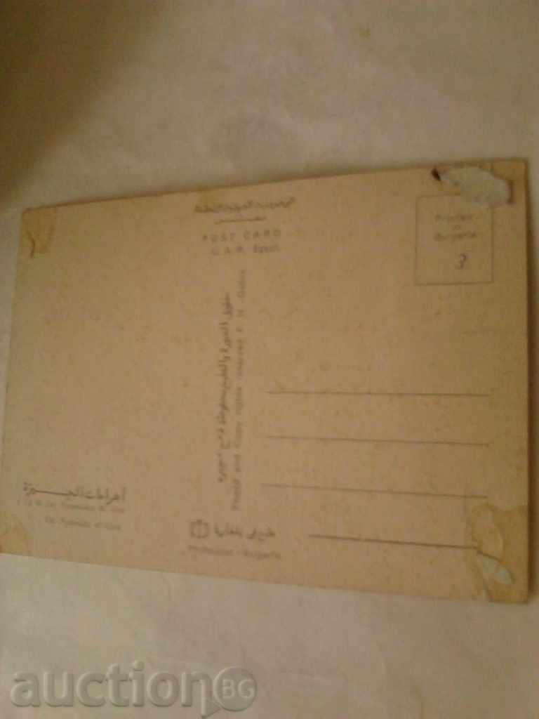 Postcard Egypt Pyramids in Giza with price 0.45 BGN | € 0.23