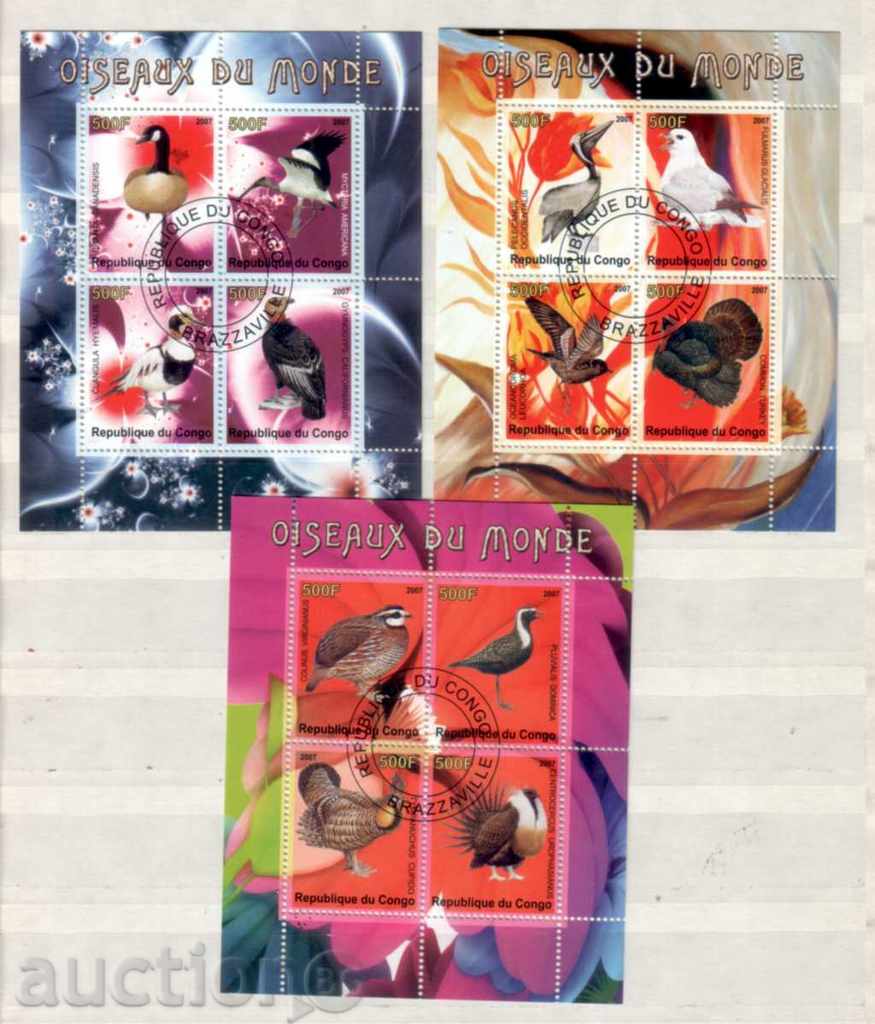 Republic of Congo 2007 Birds - 3 Block stamped