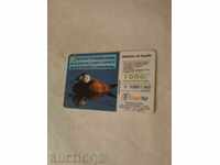 Phonocard Spain Patica