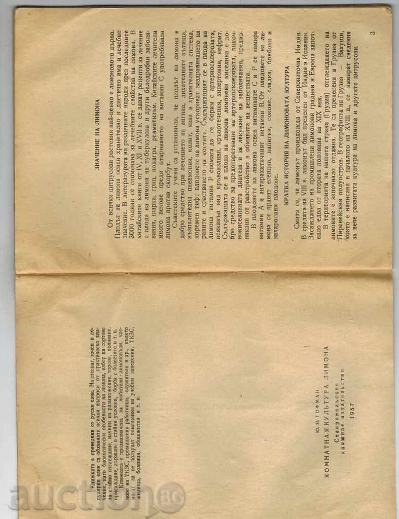Auction HOUSING OF THE LIMN - Y. HOFMAN Auction HOUSING OF THE LIMN - Y. HOFMAN