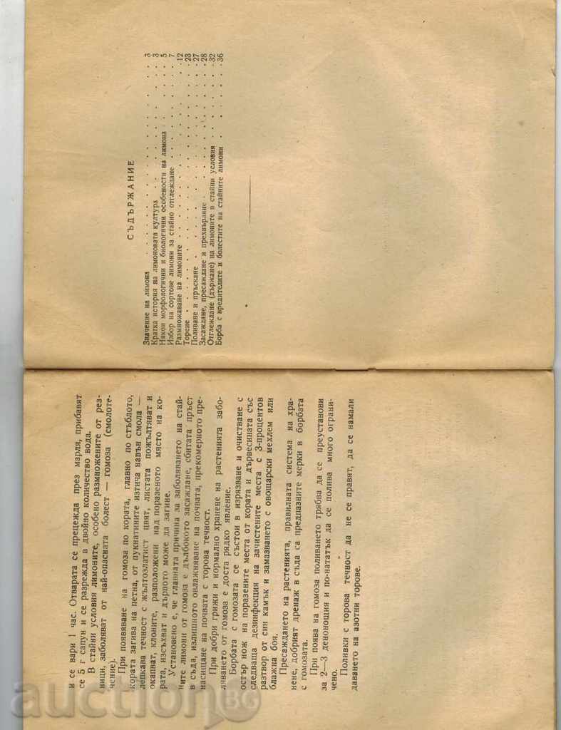 Delivery of HOUSING OF THE LIMN - Y. HOFMAN Delivery of HOUSING OF THE LIMN - Y. HOFMAN