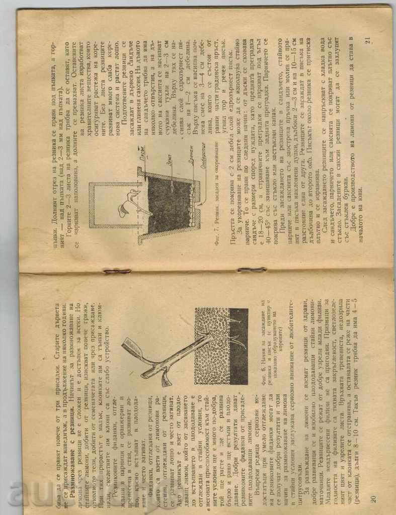 HOUSING OF THE LIMN - Y. HOFMAN - 5 HOUSING OF THE LIMN - Y. HOFMAN - 5