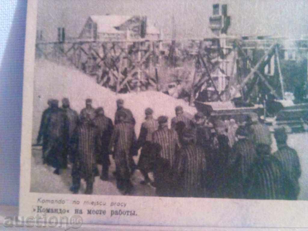 STAR KARTIČKA with price 6.00 BGN | € 3.07 STAR KARTIČKA with price 6.00 BGN | € 3.07