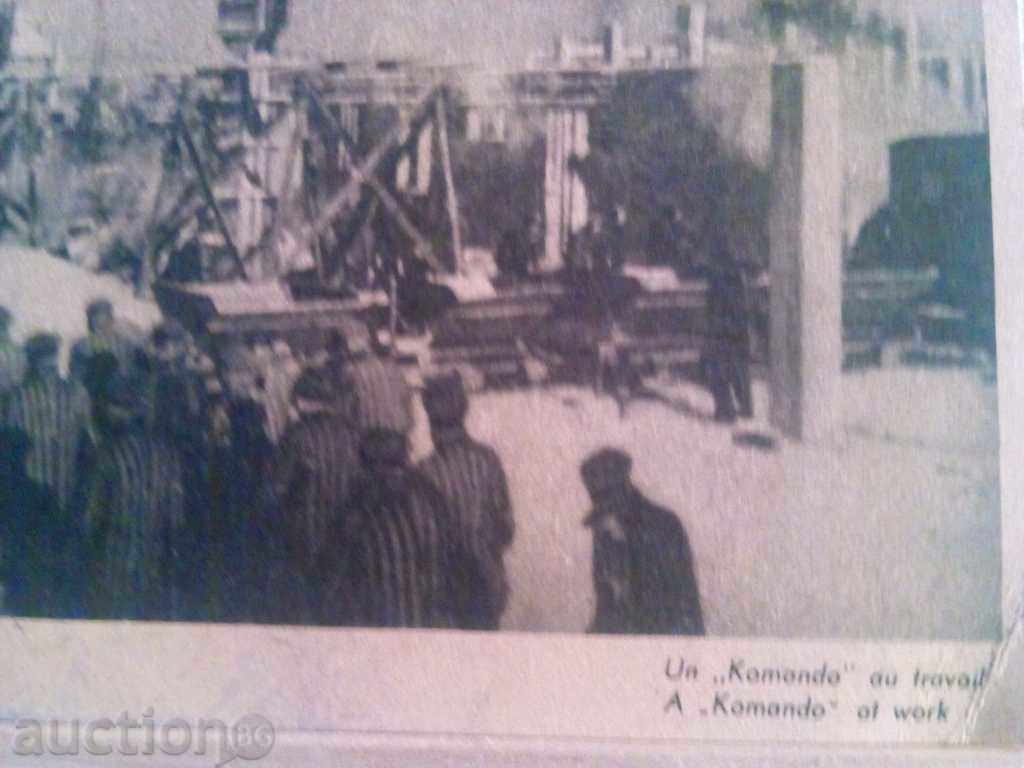 Аукцион СТАРА КАРТИЧКА