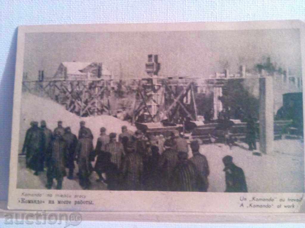 Delivery of STAR KARTIČKA Delivery of STAR KARTIČKA