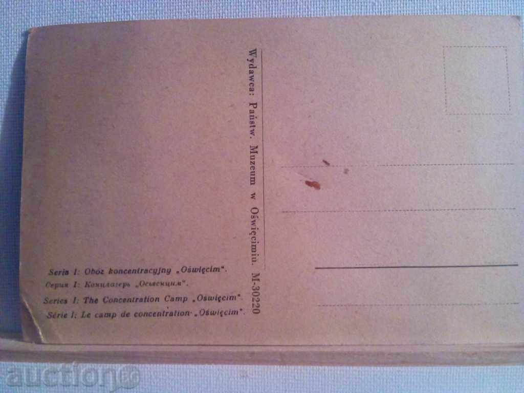 STAR KARTIČKA - 5 STAR KARTIČKA - 5