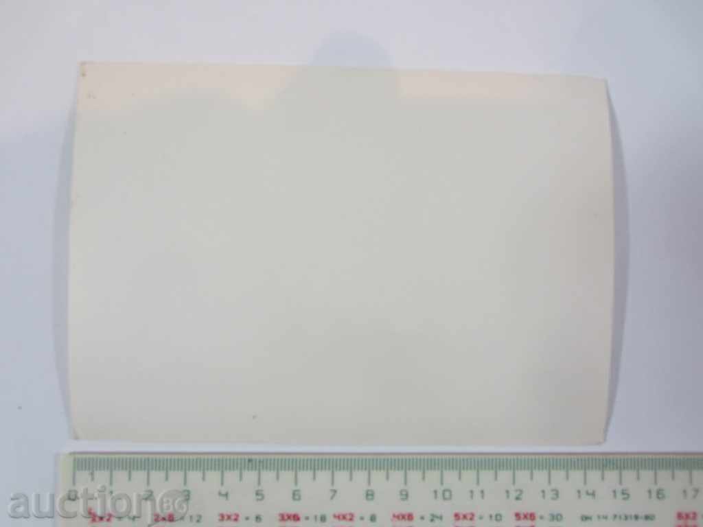 Livrarea revoluționar NIKOLA Voyvodov-Thomas Hitrov-BULGARA Livrarea revoluționar NIKOLA Voyvodov-Thomas Hitrov-BULGARA