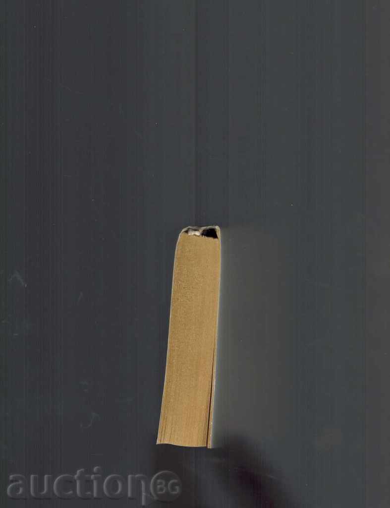 MICHAEL - MAXIMIZE GORKY - 5 MICHAEL - MAXIMIZE GORKY - 5