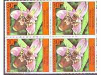 BC antrenor 3484 30 st. Orhideelor