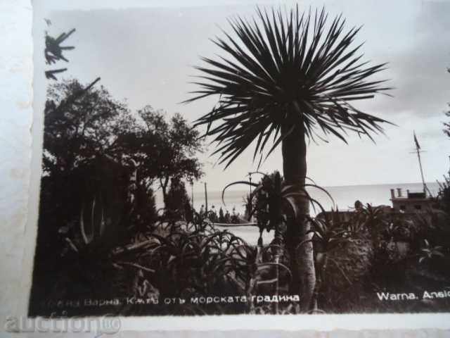 Varna Corner of the Sea Garden 1940 with price 5.00 BGN | € 2.56 Varna Corner of the Sea Garden 1940 with price 5.00 BGN | € 2.56
