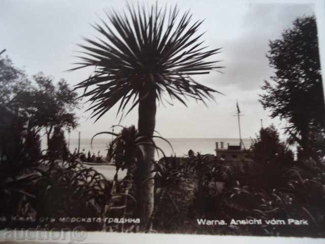 Auction Varna Corner of the Sea Garden 1940 Auction Varna Corner of the Sea Garden 1940