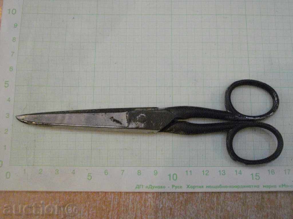 Auction  Scissor Old "MA.NNOS SOLINGEN"