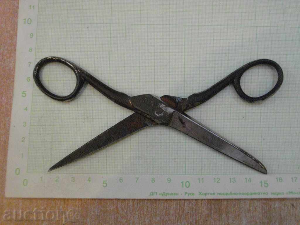 Delivery of Scissor Old "MA.NNOS SOLINGEN"