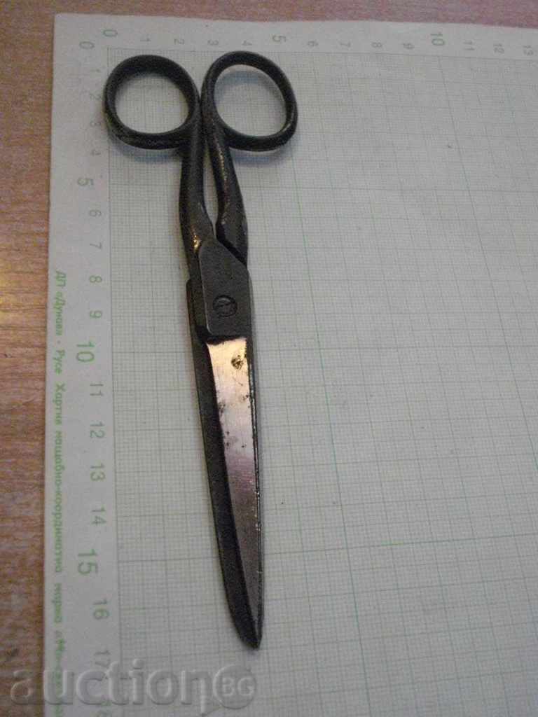 Scissor Old "MA.NNOS SOLINGEN" - 5