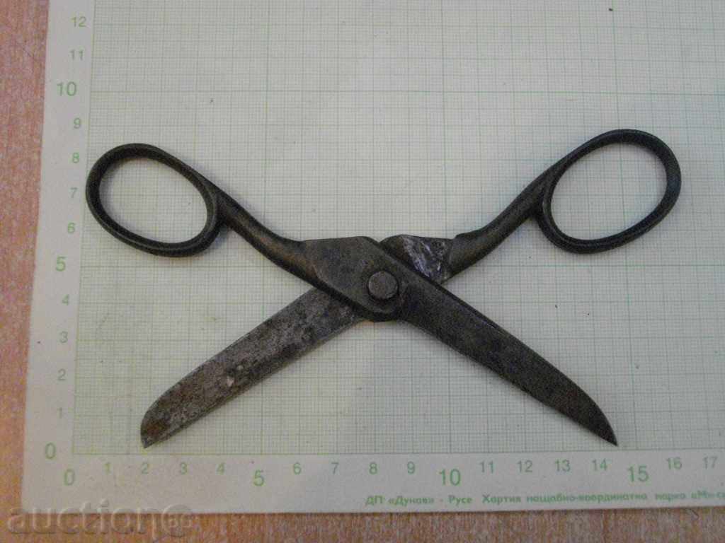 Auction Scissors old Auction Scissors old