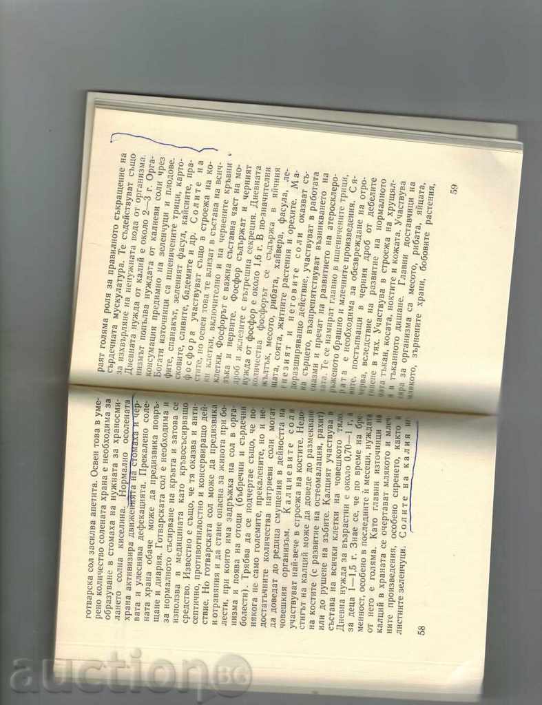 Delivery of SPRING FESTIVAL - D. ATANASOVA