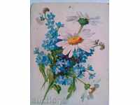 1906 - OLD CUTTING CARD