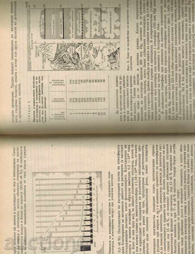 Delivery of HYGIENE - D. DIMCHEV Delivery of HYGIENE - D. DIMCHEV