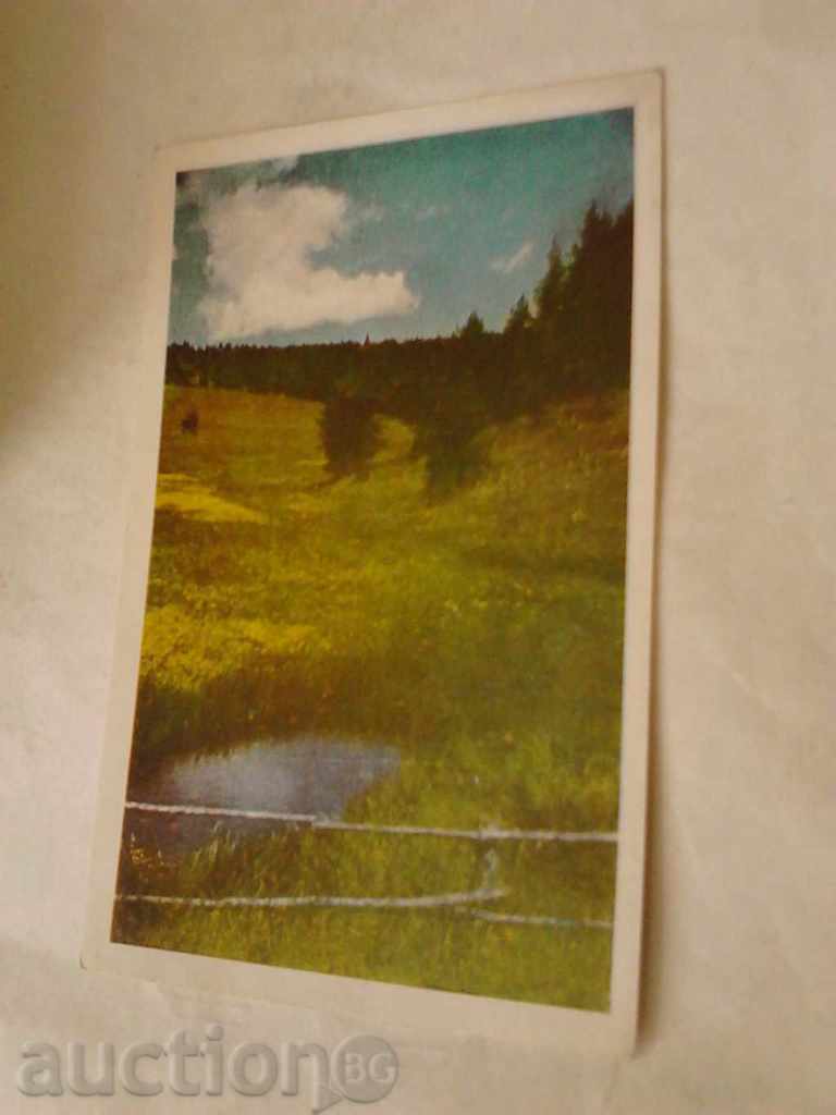 Postcard Rhodope meadows