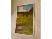 Пощенска картичка Родопски поляни