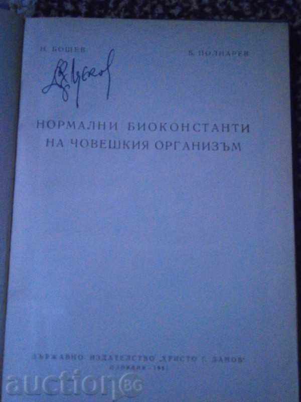 Auction NORMAL ORGANIZATIONS OF THE HUMAN ORGANIZATION - 1961 Auction NORMAL ORGANIZATIONS OF THE HUMAN ORGANIZATION - 1961