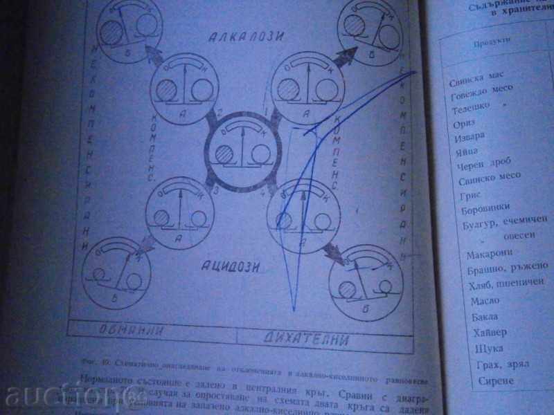 NORMAL ORGANIZATIONS OF THE HUMAN ORGANIZATION - 1961 - 7 NORMAL ORGANIZATIONS OF THE HUMAN ORGANIZATION - 1961 - 7