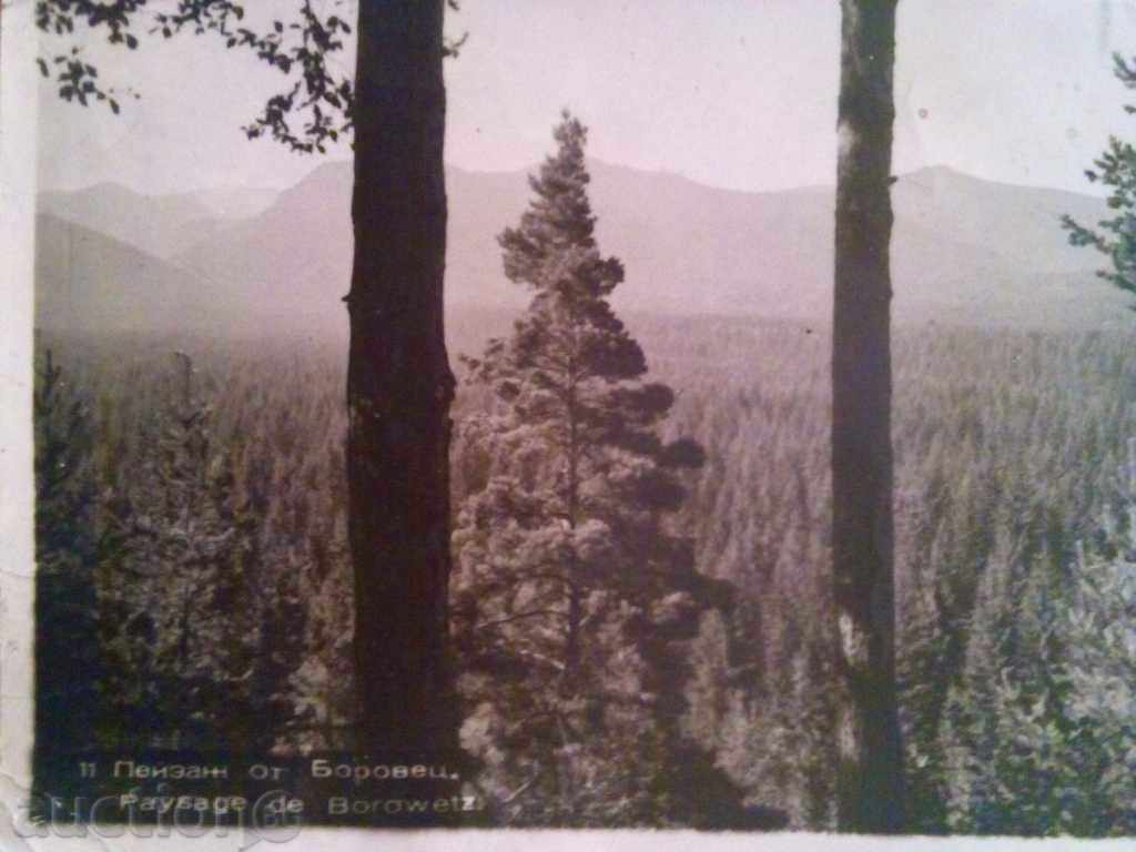 STARA CARTICHKA-LANDSCAPE FROM BOROVETS with price 1.60 BGN | € 0.82 STARA CARTICHKA-LANDSCAPE FROM BOROVETS with price 1.60 BGN | € 0.82