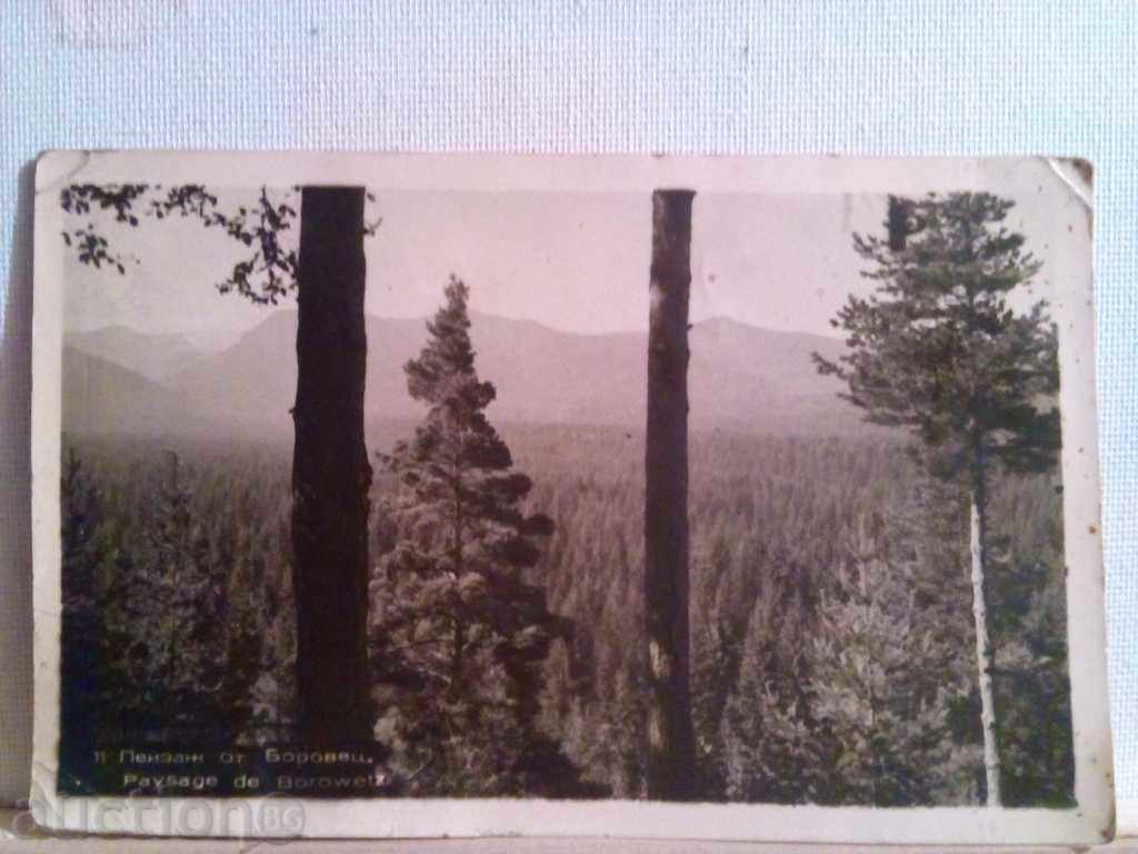 Auction STARA CARTICHKA-LANDSCAPE FROM BOROVETS Auction STARA CARTICHKA-LANDSCAPE FROM BOROVETS