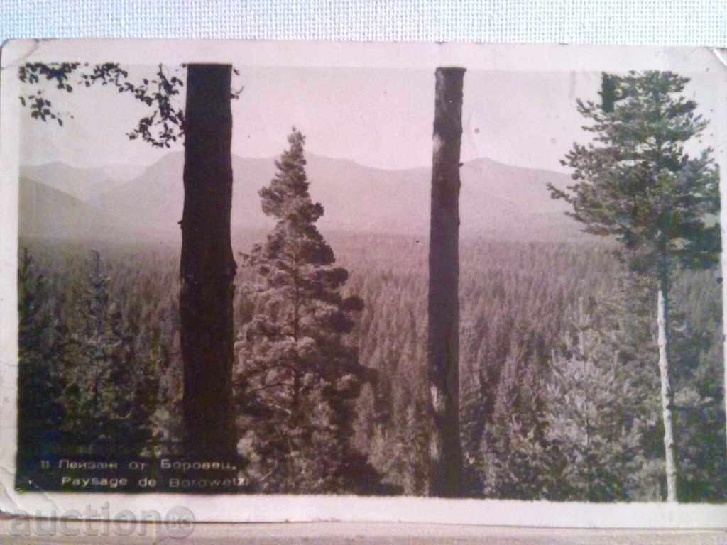 СТАРА КАРТИЧКА-ПЕЙЗАЖ ОТ БОРОВЕЦ