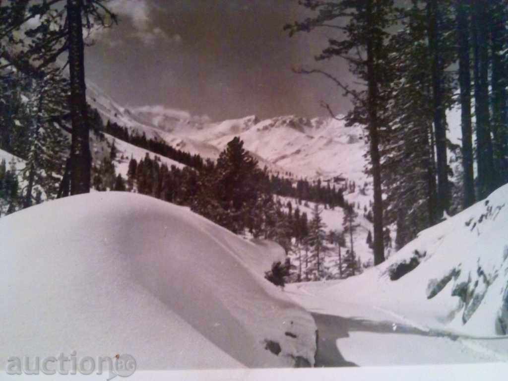 Pirin -ZIMEN ΤΟΠΙΟ με τιμή 1.00 BGN | € 0.51