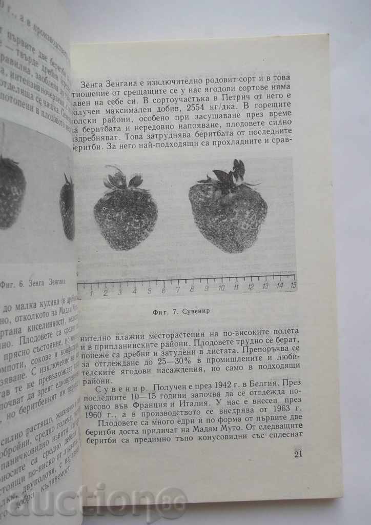 Delivery of Strawberry growing and raspberry production - Vl. Ivanov 1967 Delivery of Strawberry growing and raspberry production - Vl. Ivanov 1967