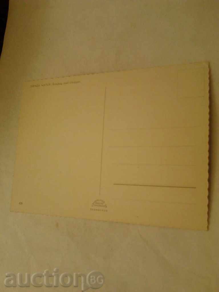 Postcard Swensk Natur with price 0.45 BGN | € 0.23 Postcard Swensk Natur with price 0.45 BGN | € 0.23