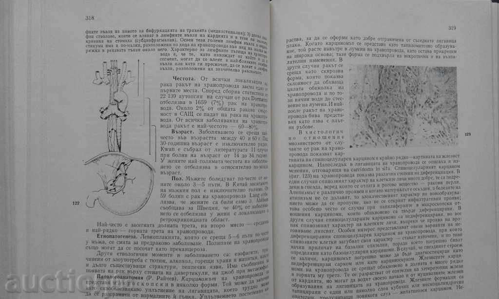 Delivery of ONCOLOGY MANAGEMENT - 1578 Drawing !!! Delivery of ONCOLOGY MANAGEMENT - 1578 Drawing !!!