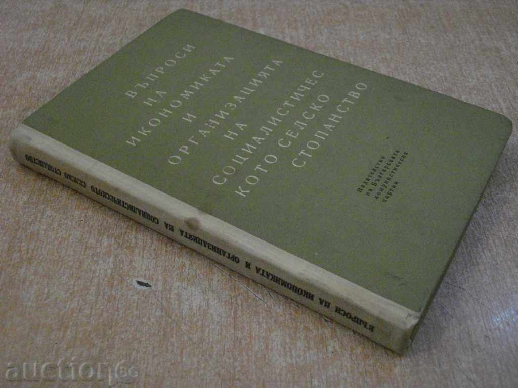 Βιβλίο "Ερωτήσεις της ikonom.i org.na sots.sel.st st" - 288 σελ. - 7 Βιβλίο "Ερωτήσεις της ikonom.i org.na sots.sel.st st" - 288 σελ. - 7