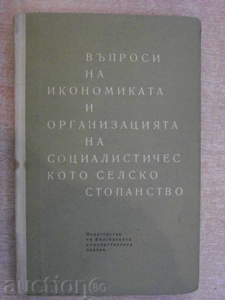 The book "Issues of Economics and the Organization of the Socialist Party" - 288 pp.