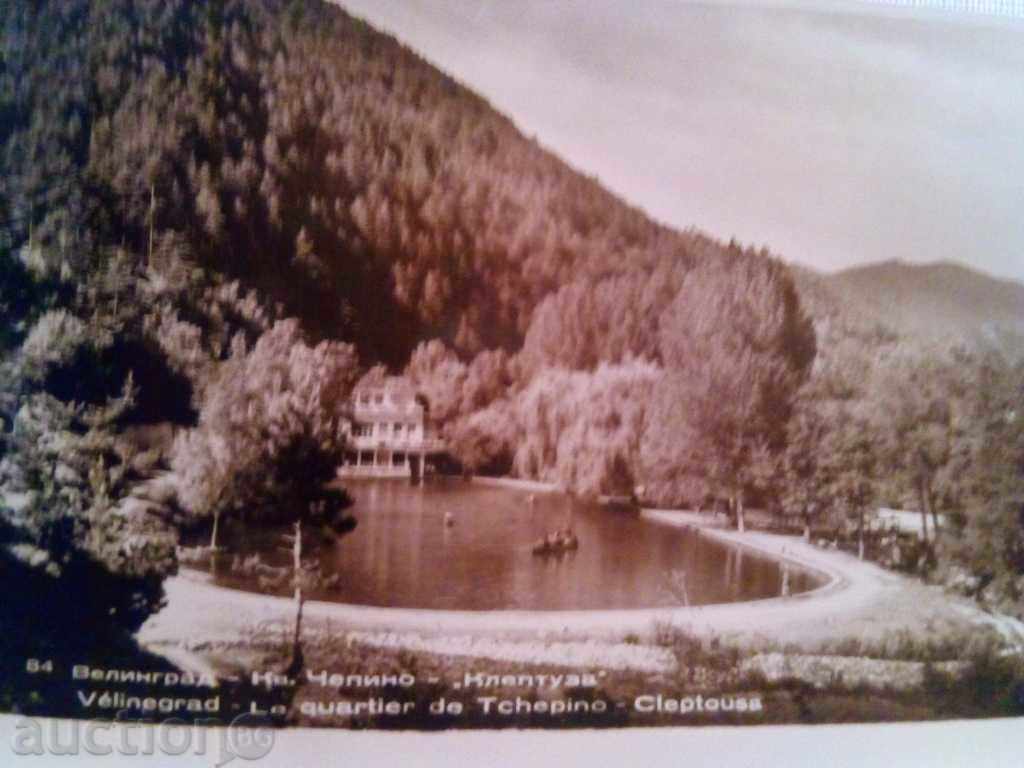 VELINGRAD-CH.CHEPINO - "KLEPTUZA" - 1950 with price 3.00 BGN | € 1.53