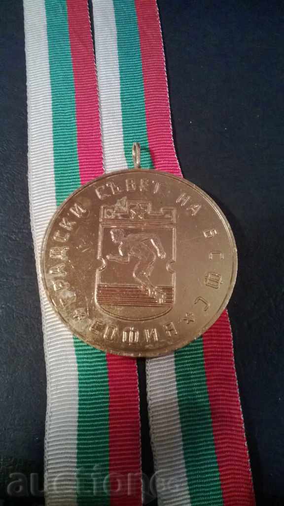 Medalie BSFS - Consiliul municipal