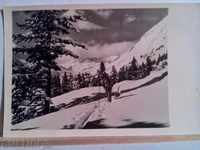 Pirin - ,, Peisaj de iarnă-schiori "- 1960.