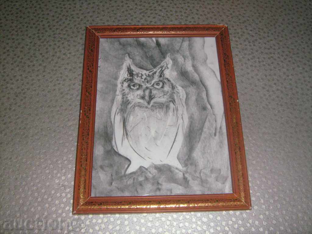 Σχέδιο Κουκουβάγια με τιμή 45.00 BGN | € 23.01 Σχέδιο Κουκουβάγια με τιμή 45.00 BGN | € 23.01