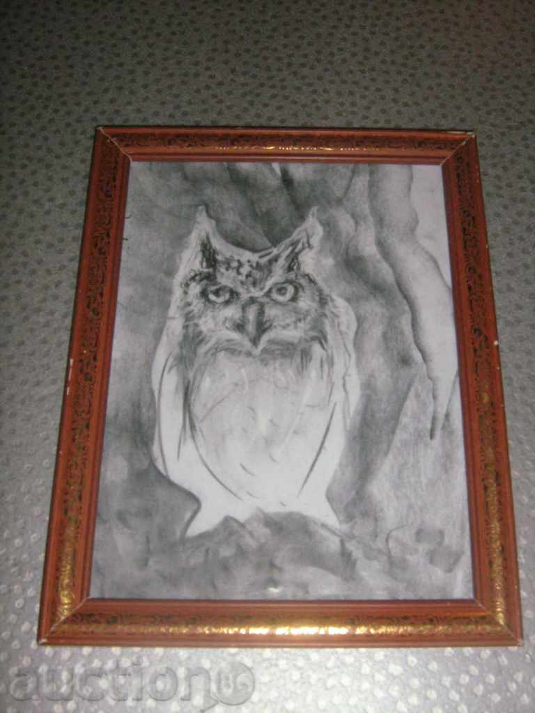 Desen de Owl