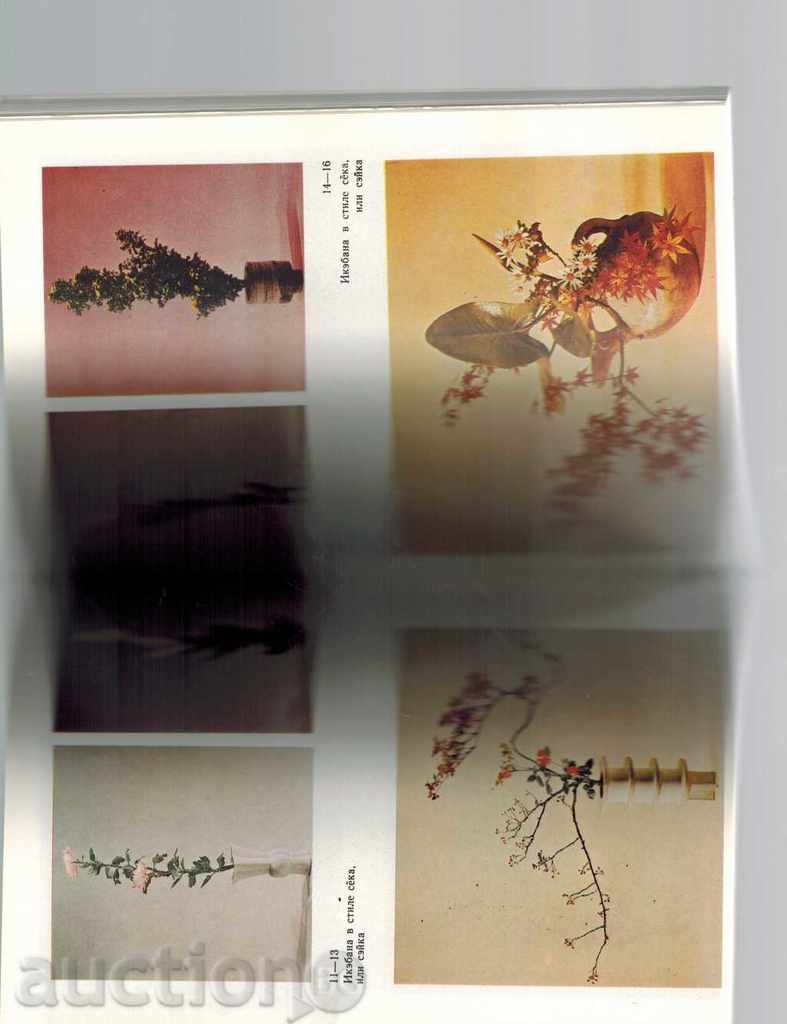 Delivery of IKOBANA - V. PRONNIKOV / TO RUSSIAN / Delivery of IKOBANA - V. PRONNIKOV / TO RUSSIAN /