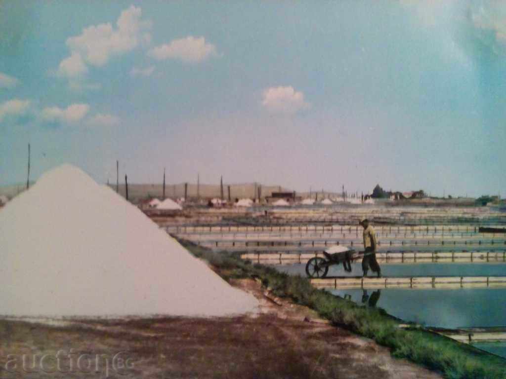 Πομόριε-αλατιέρα-1960. με τιμή 6.00 BGN | € 3.07