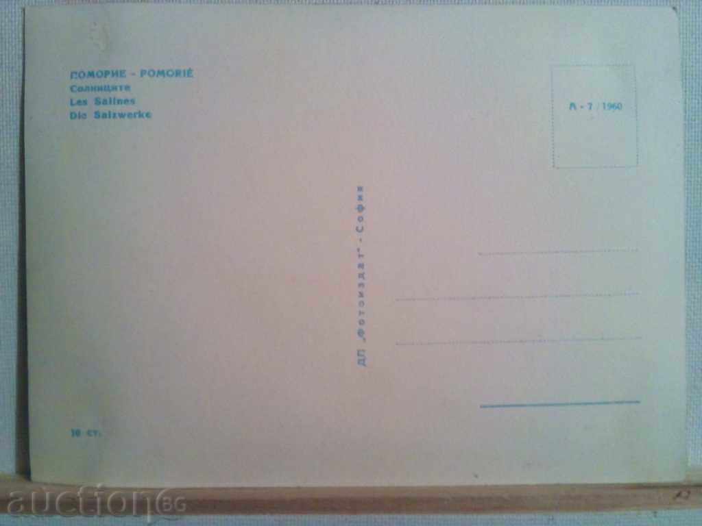 Δημοπρασία Πομόριε-αλατιέρα-1960.