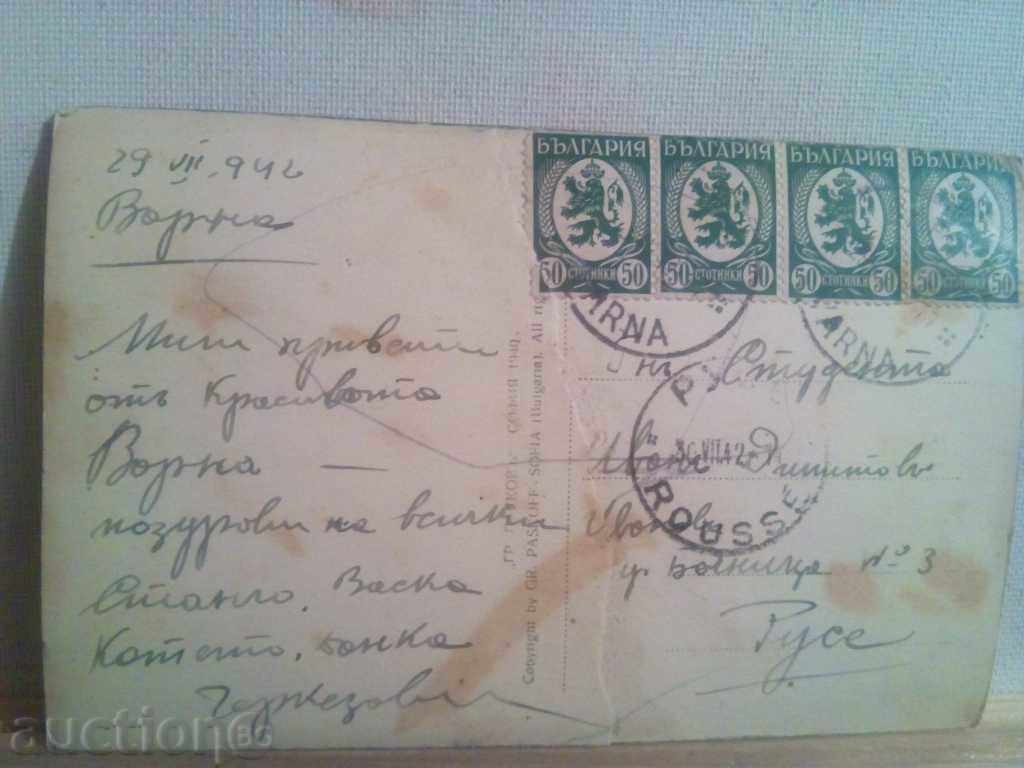 Auction  VARNA.IZGREVY SUN