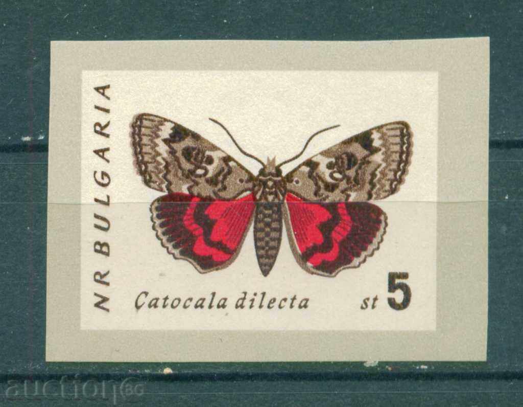 R24 / Bulgaria raritet 1962 Fluture - știrb